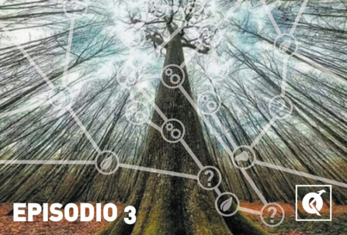 Quintino Material Handling Solutions estrenó su propio podcast