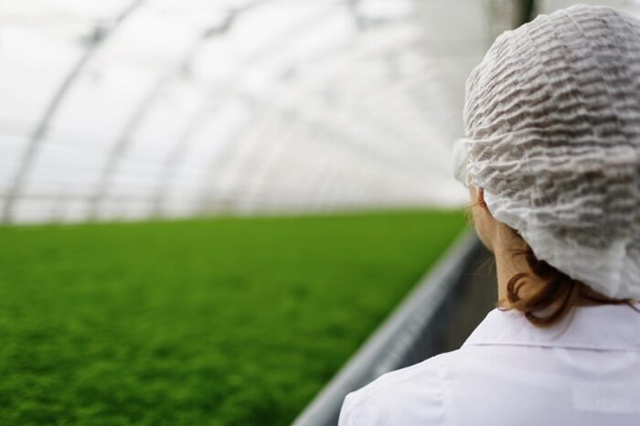 Industria del agro: cómo potenciar su cadena de suministros