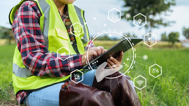 Cadena de valor del agro y su visión de futuro