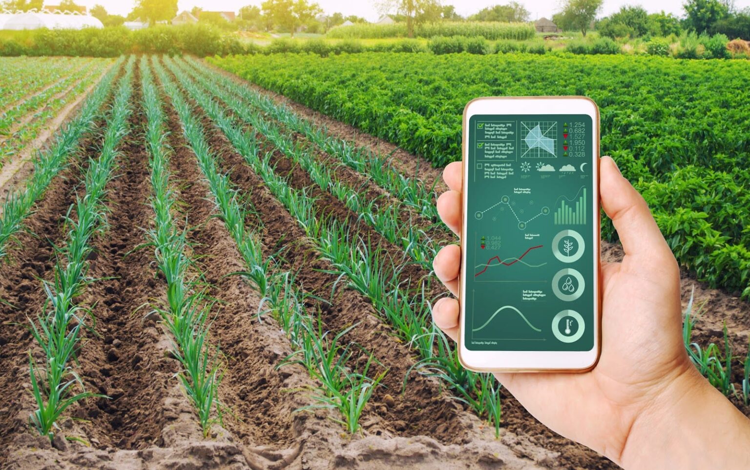 Digitalización: 7 de cada 10 profesionales del agro consideran que falta tecnificar al sector