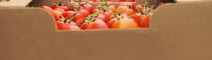 Ola de calor en México: consejos para la logística de alimentos