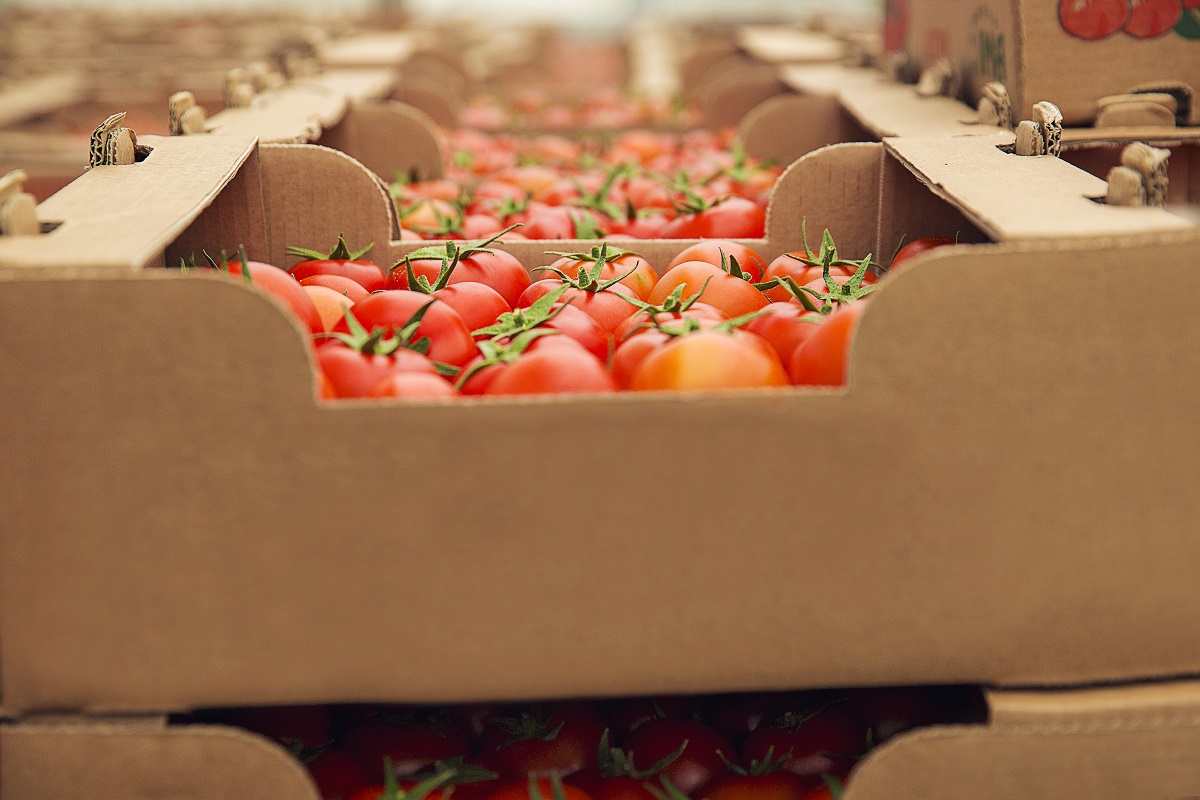Ola de calor en México: consejos para la logística de alimentos