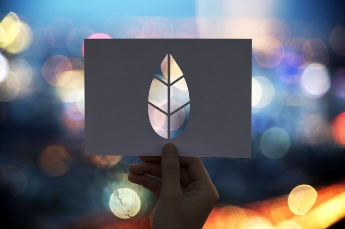 Operadores logísticos comienzan a reducir sus huellas de carbono