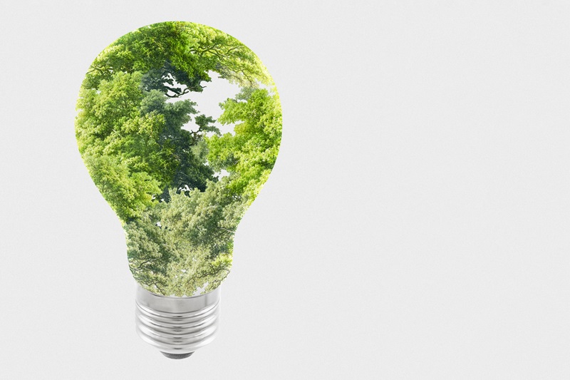 Mercados de Carbono en Argentina: ¿Dónde estamos y hacia dónde vamos?