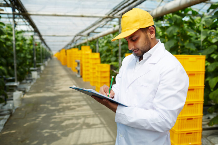 RRHH en la cadena de distribución del agro: 5 aspectos para considerar