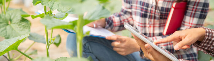 Trazabilidad: una herramienta de la agricultura digital que gana terreno