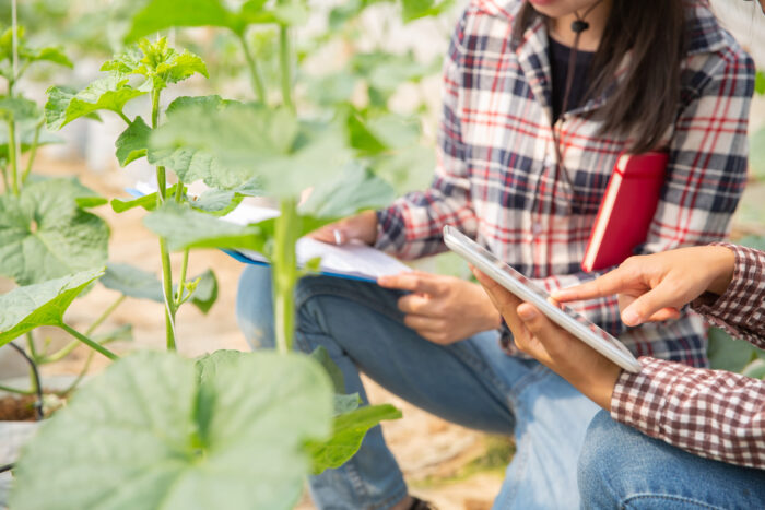 Agricultura digital: la trazabilidad gana terreno