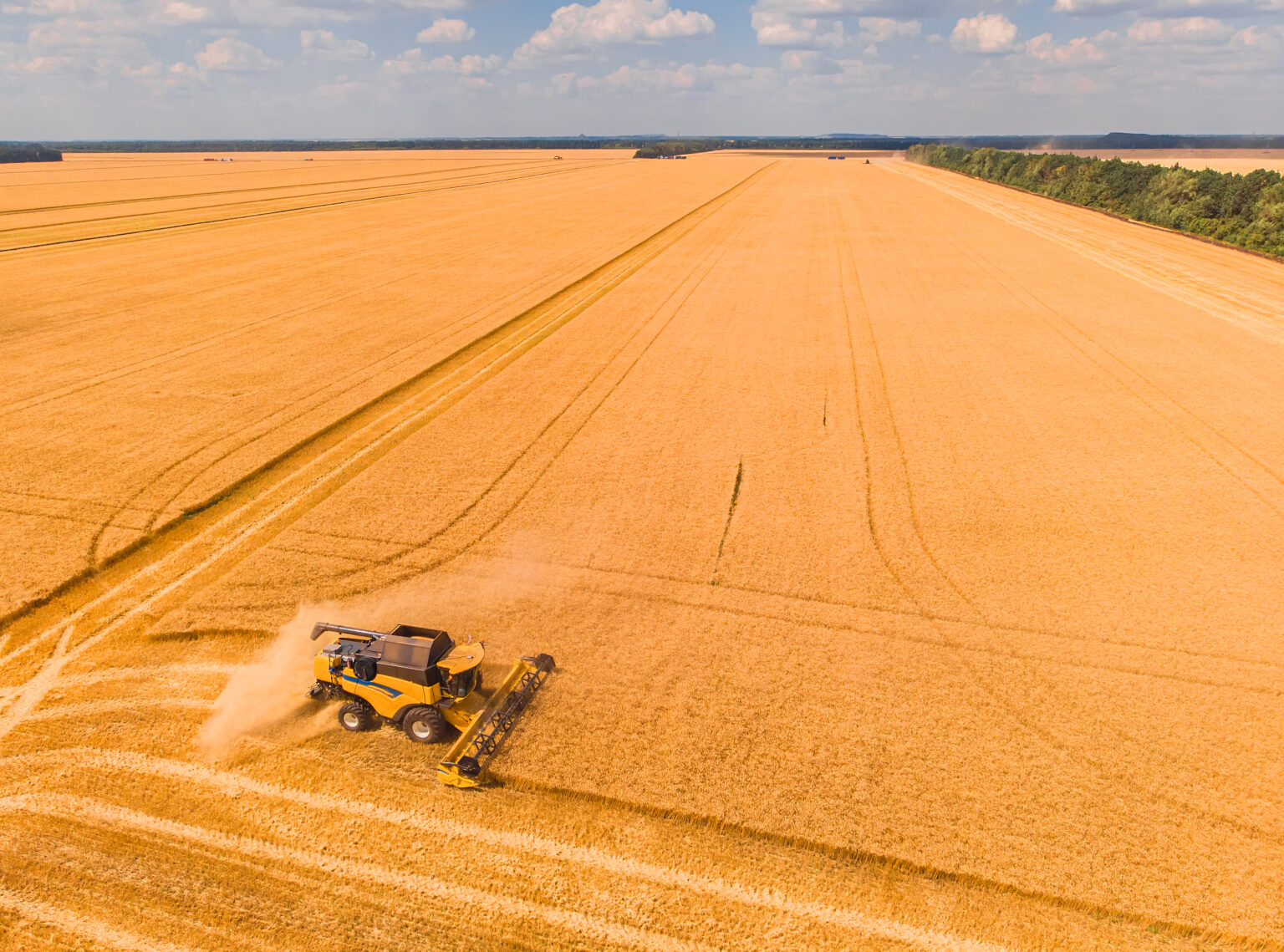Warrants digitales: una herramienta clave en el financiamiento agrícola