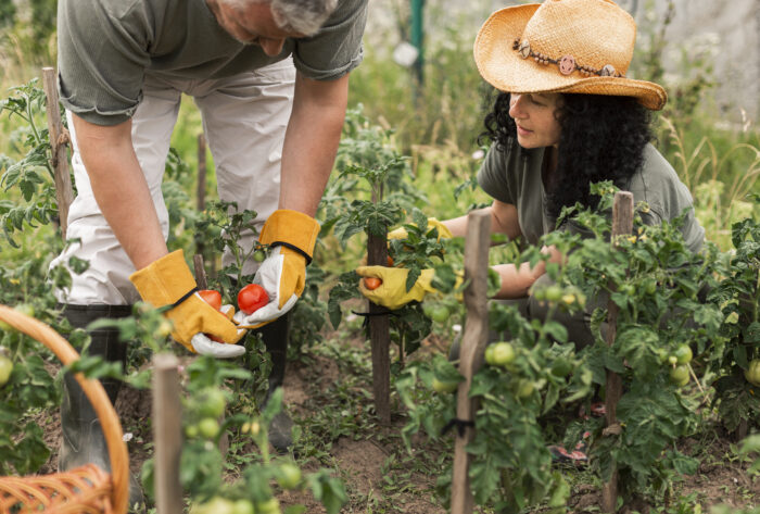 Los productores agrícolas podrán compartir información productiva