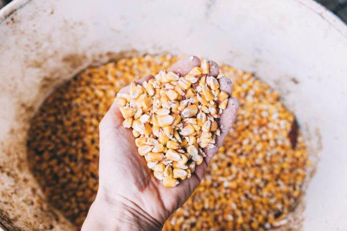 La agro exportación ingresó U$S 2.553 millones de dólares en octubre