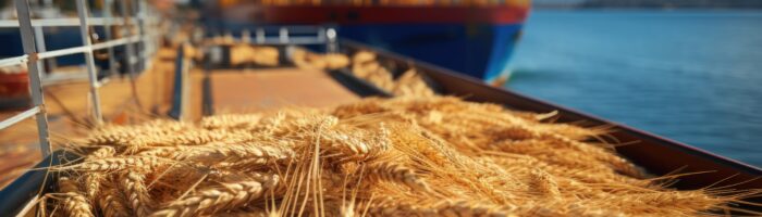 La producción de trigo dejaría la 4ta mejor marca de los últimos 20 años.