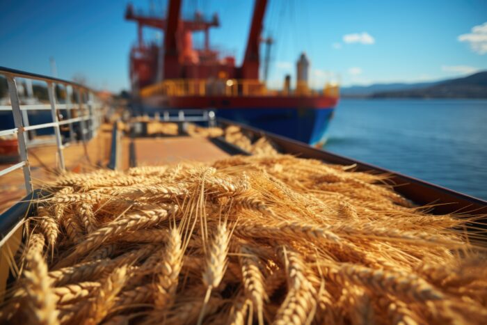 La producción de trigo dejaría la 4ta mejor marca de los últimos 20 años