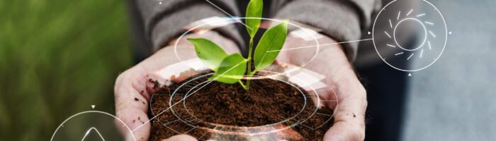 Prácticas sustentables para generar ventajas competitivas