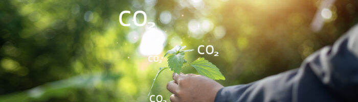 Verra se unió a la Mesa Argentina de Carbono