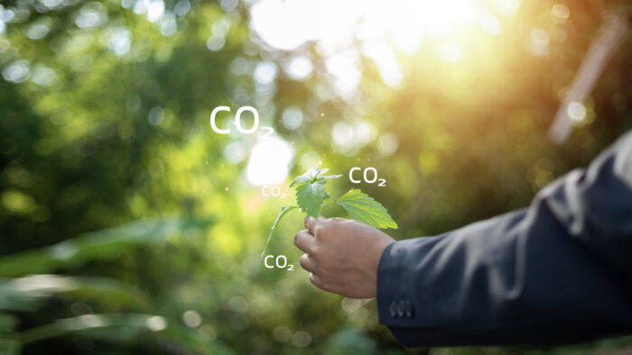 Verra se unió a la Mesa Argentina de Carbono