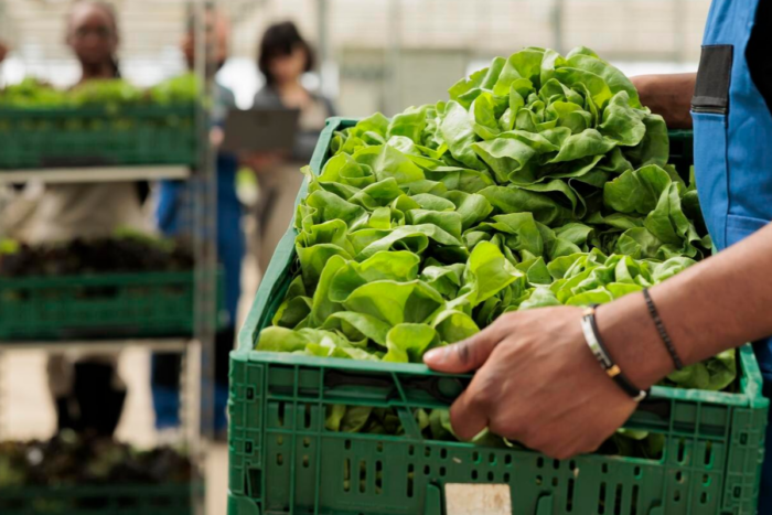 Las exportaciones agroindustriales argentinas llegaron a 132 países
