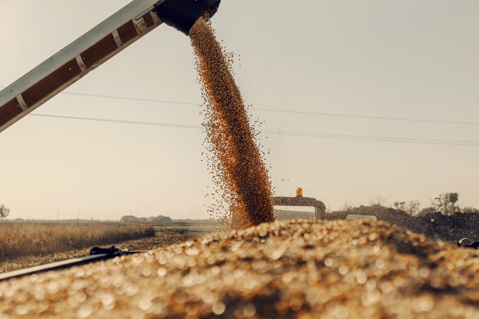 La logística, un pilar clave para el agro argentino