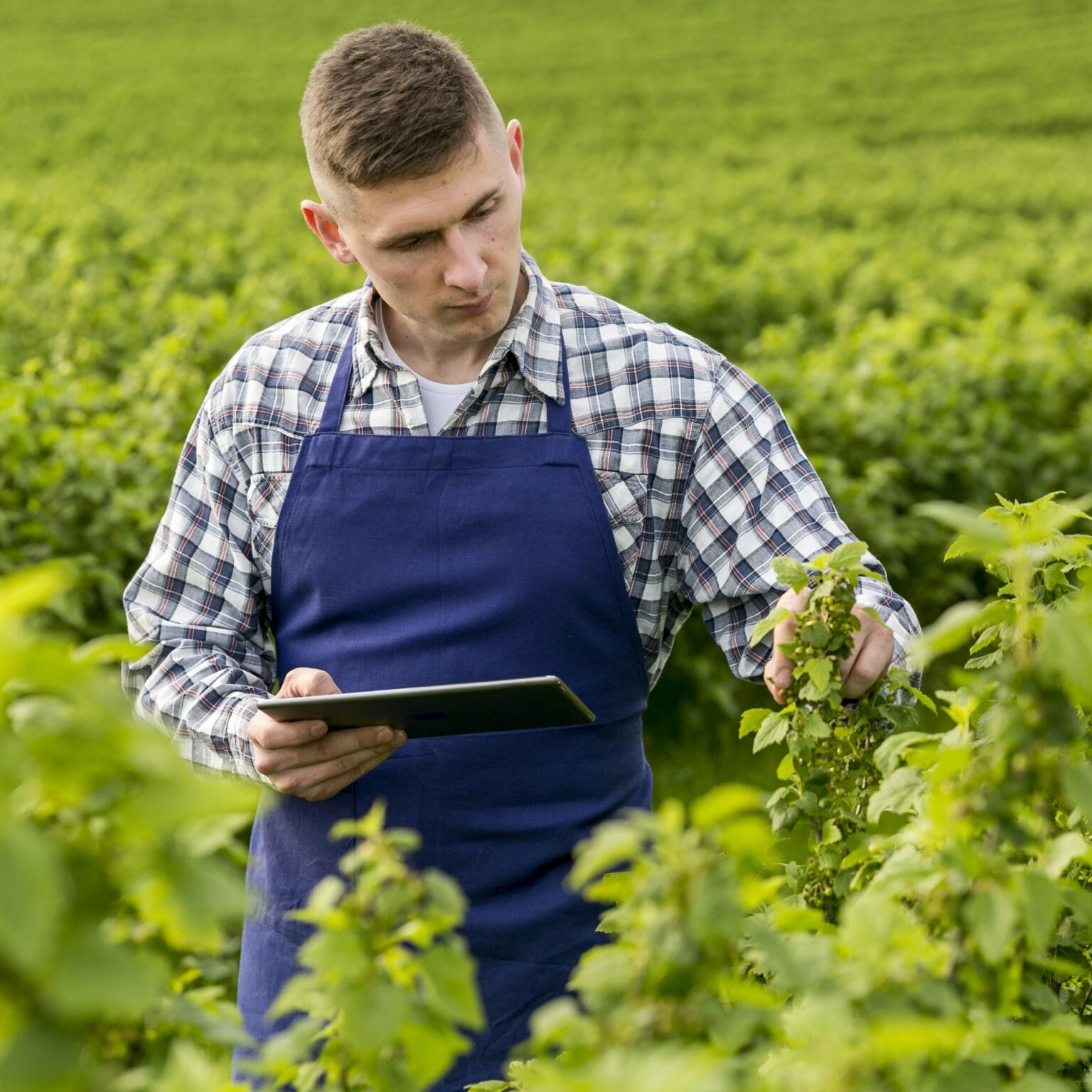 La confianza del productor agropecuario argentino cayó 21.5% en enero