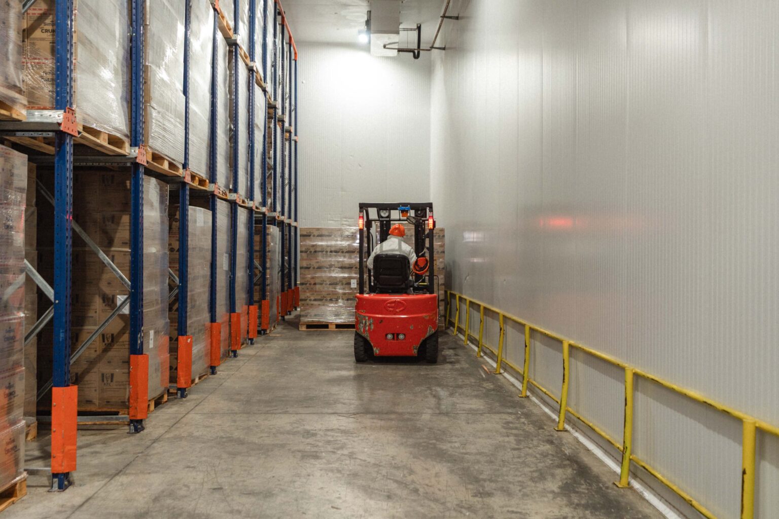 Logística y calidad: el desafío de exportar limones argentinos a mercados internacionales