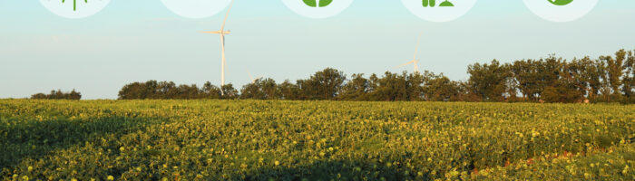 Soluciones IoT: el futuro de la agricultura sostenible