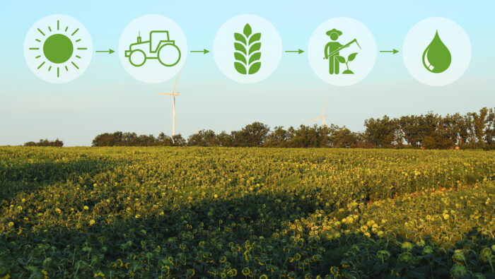 Soluciones IoT: el futuro de la agricultura sostenible