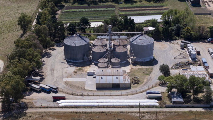 Los 4 escalones camino a la digitalización del agro