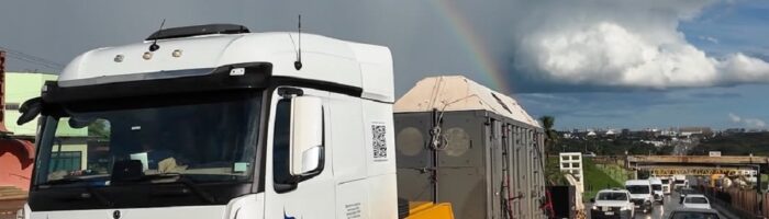 El viaje épico de la elefanta Pupy: la logística en números