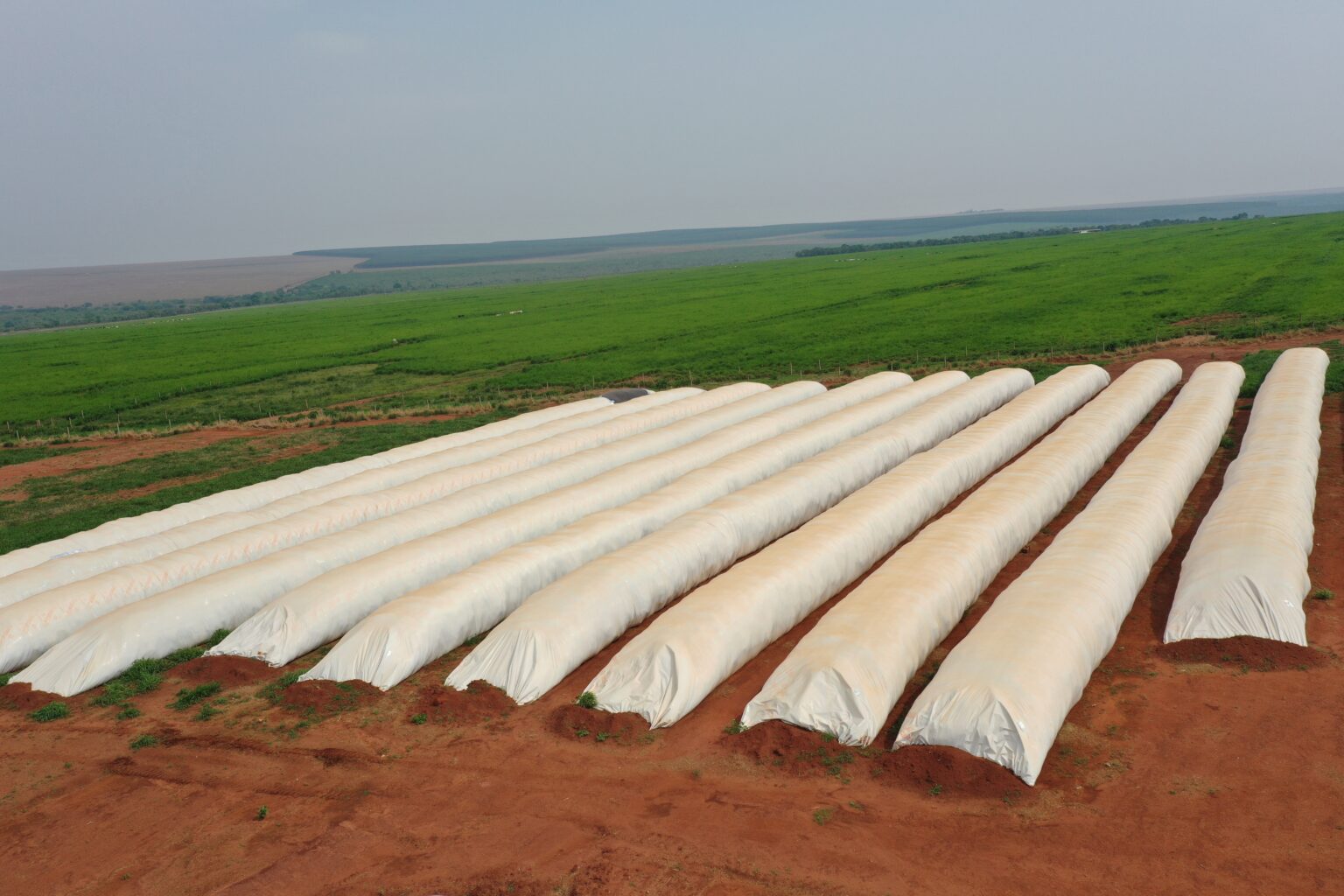 Poscosecha: la nueva frontera de la eficiencia agrícola