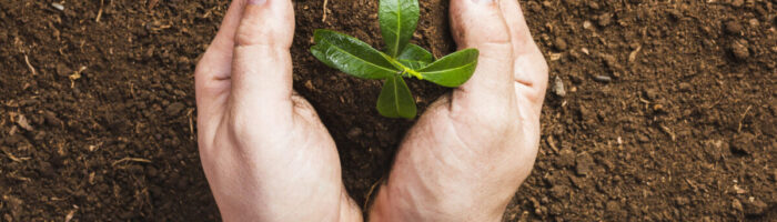 Especialistas en biofertilizantes ganan competencia de KPMG en México