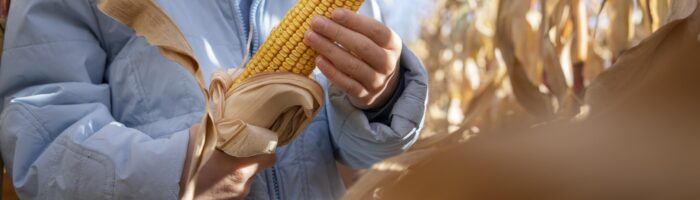 Se anunciaron retenciones cero para el campo argentino