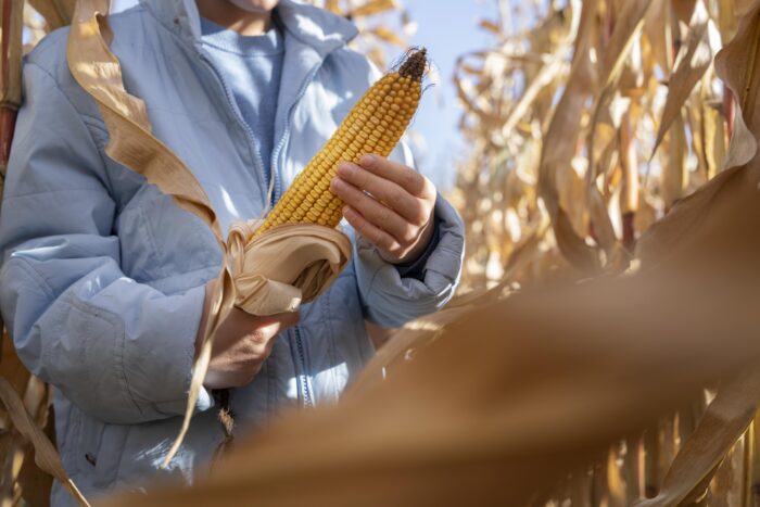 Se anunciaron retenciones cero para el campo argentino