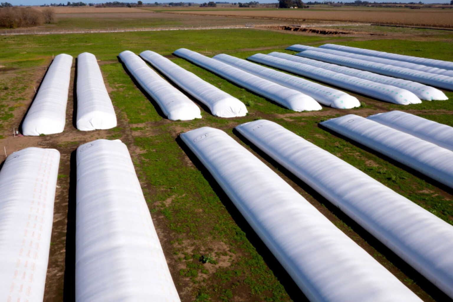 Argentina: más del 40 % de la producción se conserva en silobolsas
