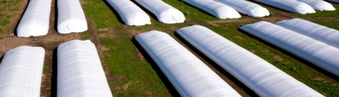 Argentina: más del 40 % de la producción se conserva en silobolsas
