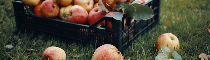 4 tecnologías inteligentes para reducir pérdidas en frutihorticultura