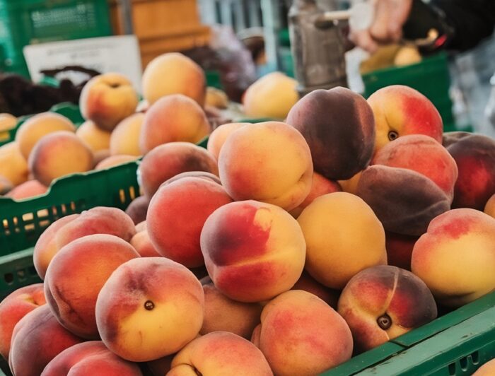 Argentina alcanzó récord de exportaciones agroindustriales