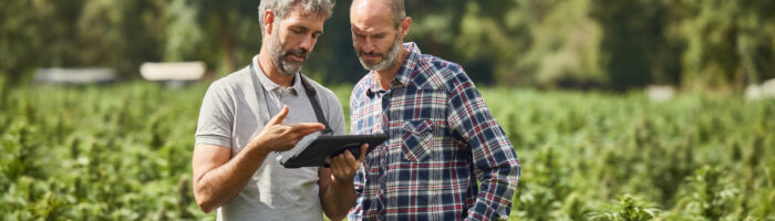 IA para la agricultura: SAP y Syngenta anuncian alianza tecnológica