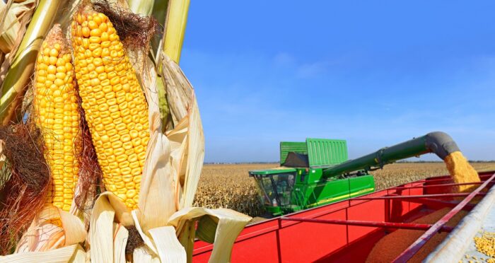 Las exportaciones alcanzaron en abril los USD 8.914 millones