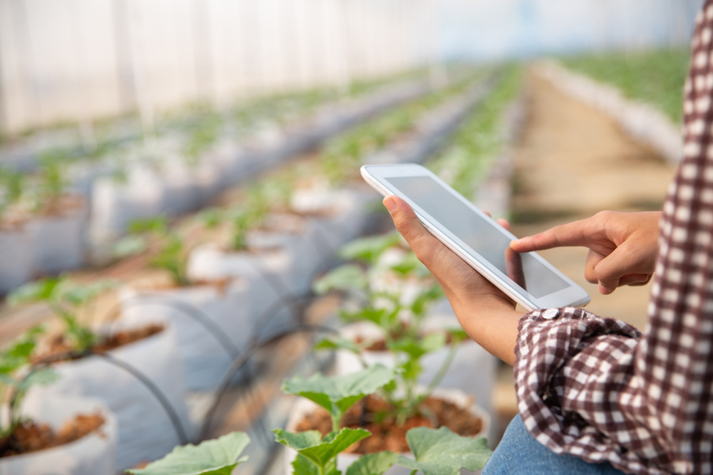 Del mostrador al marketplace: la transformación digital