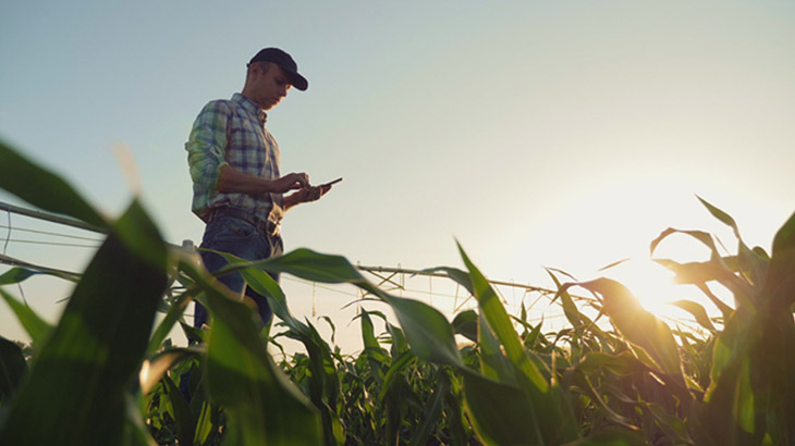 Los productores agropecuarios y la toma de decisiones en el 2026